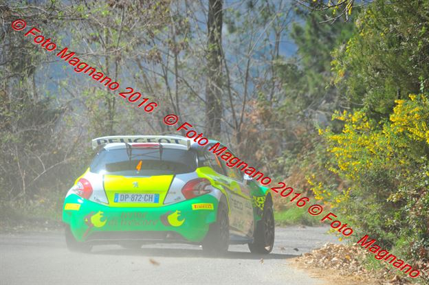 DSC_6526.JPG